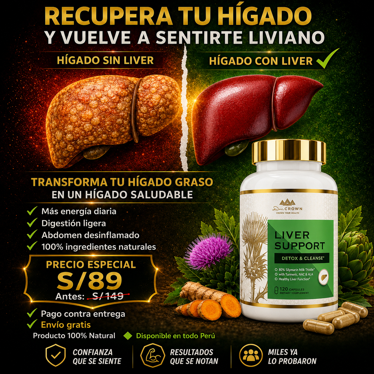 Liver Support Limpia Tu Hígado Naturalmente Y Vuelve A Sentirte Bien