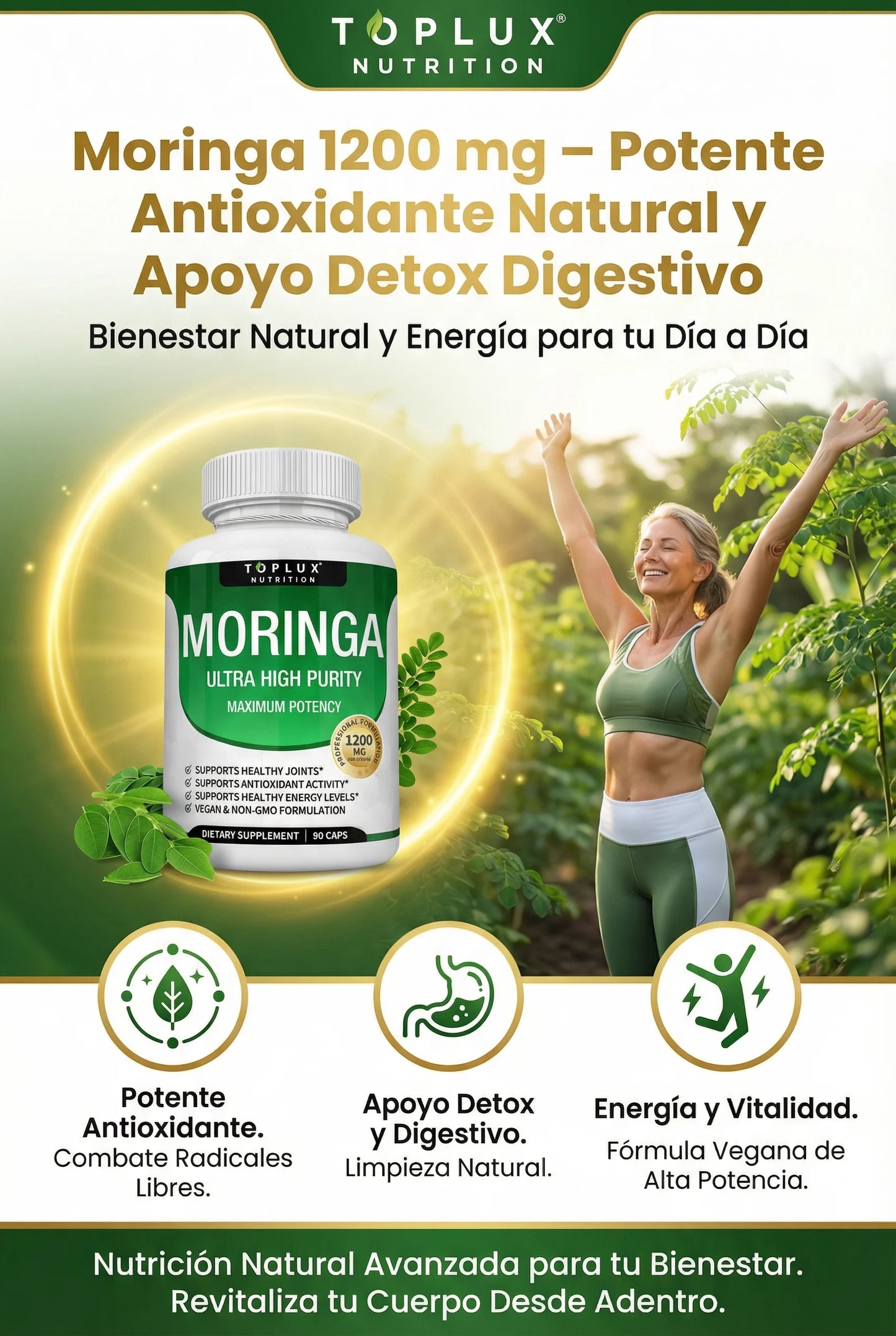 Moringa Potente Antioxidante Natural