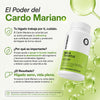 Cardo mariano para cuidado De Tu Higado OFERTA  Paga 1 Lleva 2