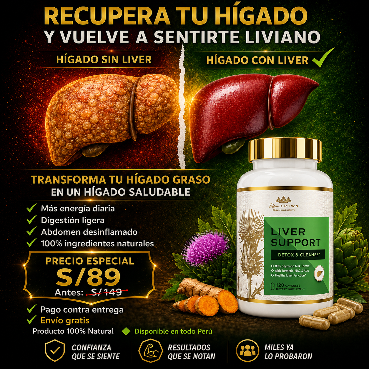 Liver Support Limpia Tu Hígado Naturalmente Y Vuelve A Sentirte Bien