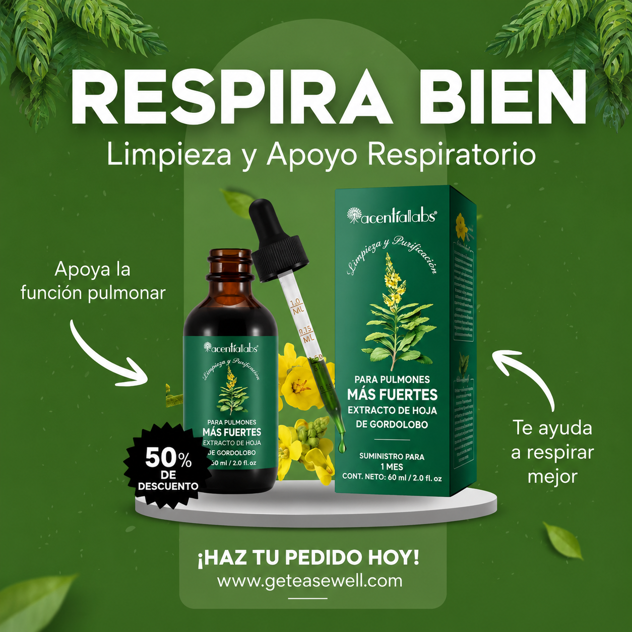 Pulmones Más Fuertes y Respiración Saludable con Mullein Extracto de Hoja