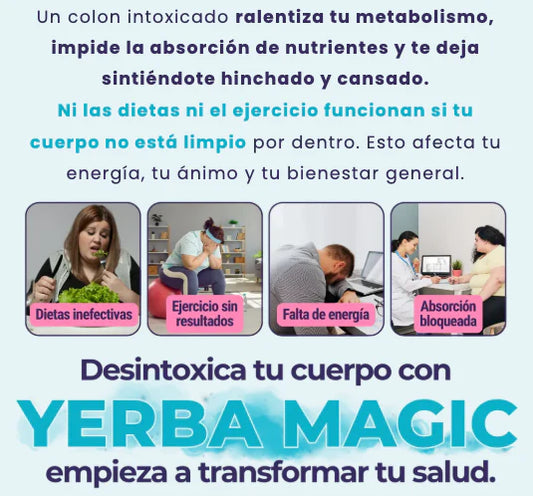 yerba magic capsulas