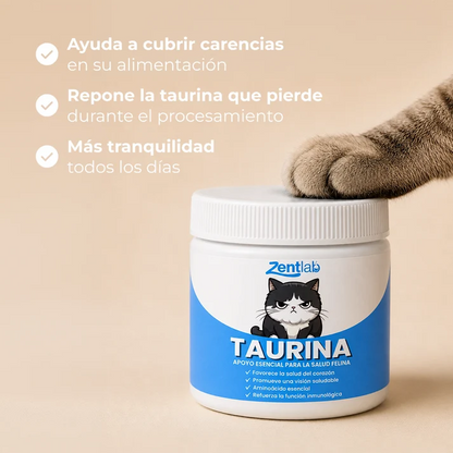 Zentlab | Taurina Pura en Polvo para Gatos