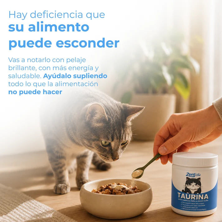 Zentlab | Taurina Pura en Polvo para Gatos