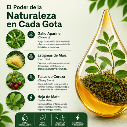 Gotas linfáticas desintoxicantes para reducir el edema, la hinchazón y la linfopatía. PAGA 1 LLEVA 1